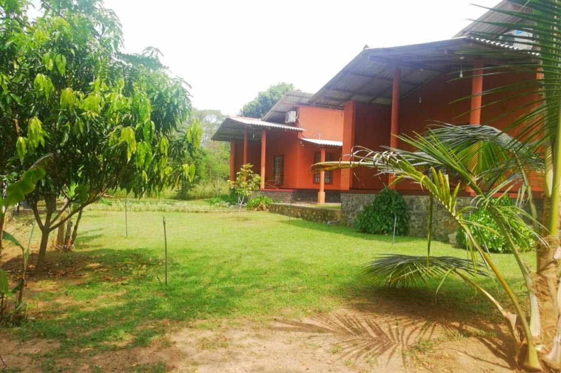 Nil Bawana Nature Resort Udawalawe Εξωτερικό φωτογραφία