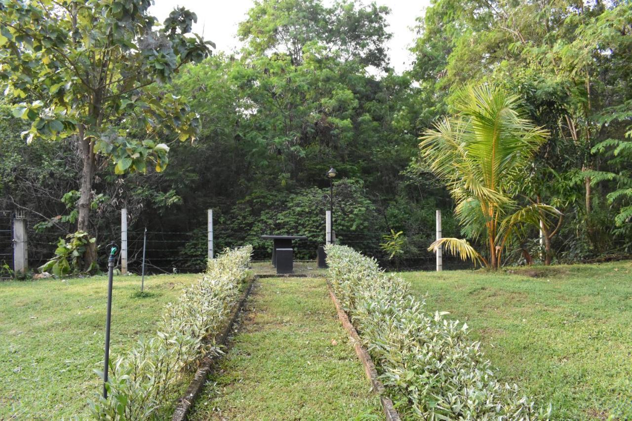Nil Bawana Nature Resort Udawalawe Εξωτερικό φωτογραφία