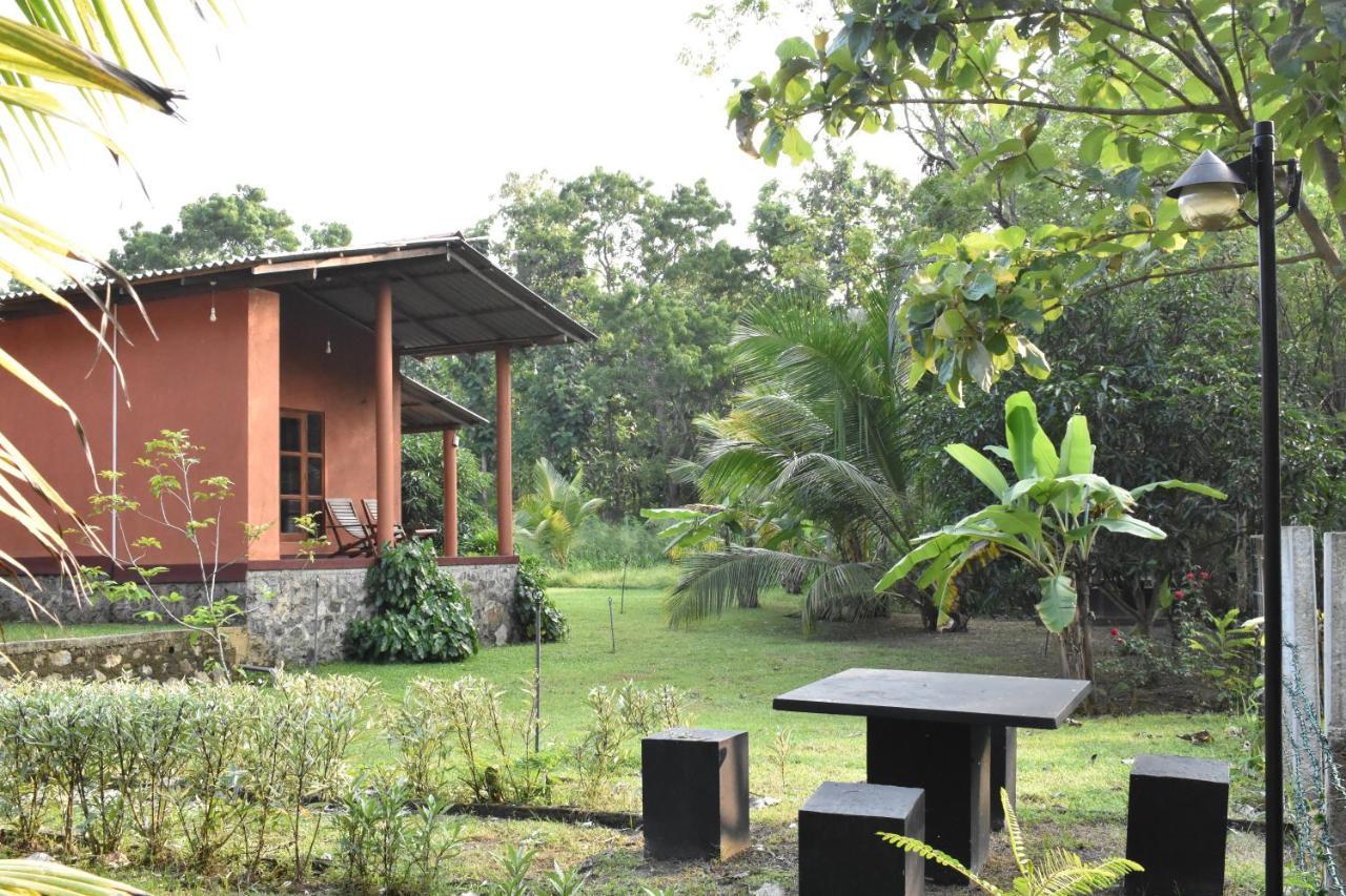 Nil Bawana Nature Resort Udawalawe Εξωτερικό φωτογραφία